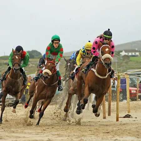 383 - بيت للعطل *