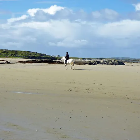 383 - بيت للعطل Claddaghduff