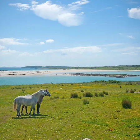 بيت للعطل 383 - *