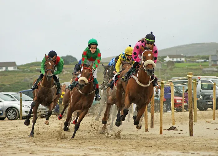 383 - Vakantiehuis *