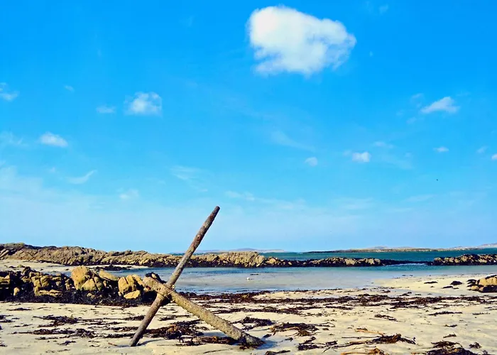 Vakantiehuis 383 - *