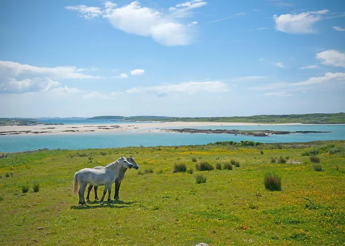 Vakantiehuis 383 - *